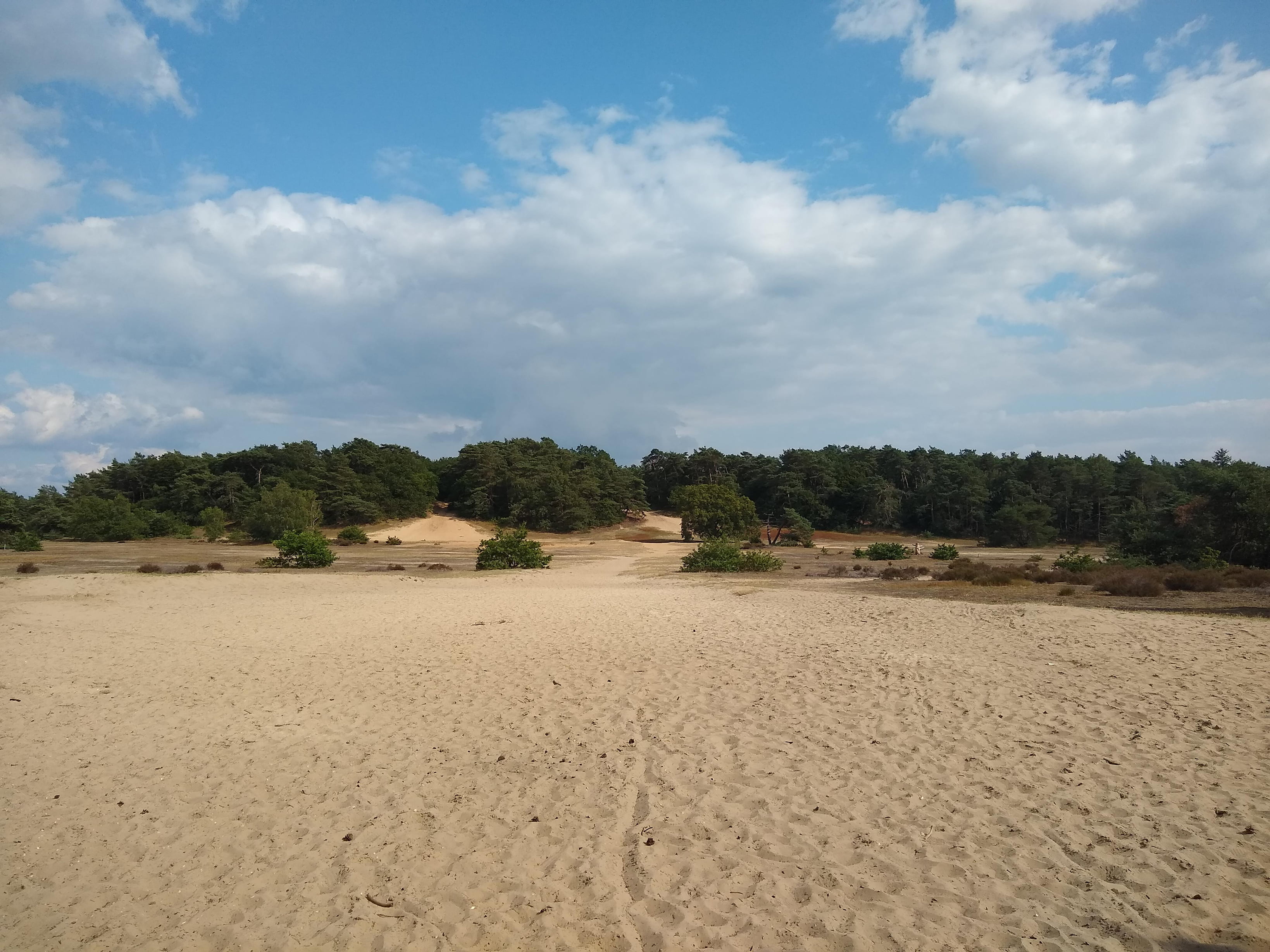 Dagje Veluwe